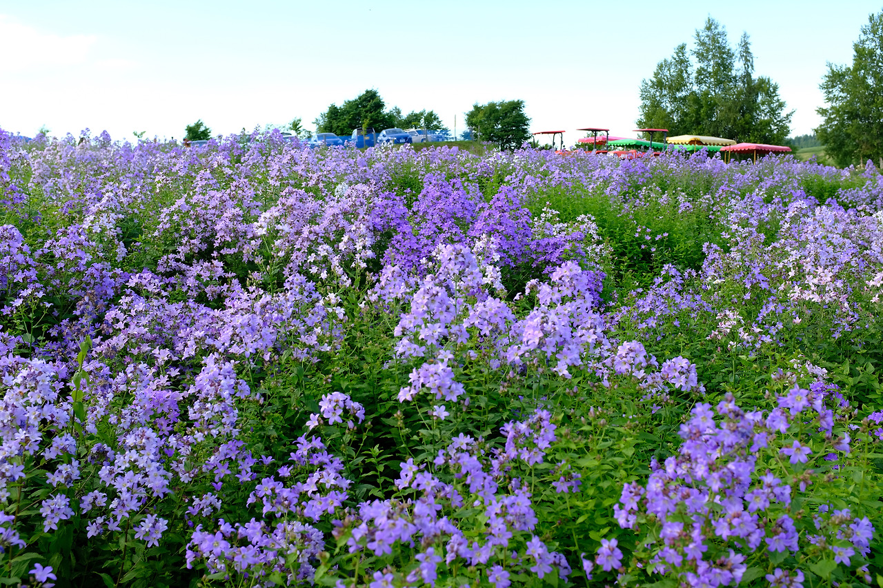 사진 2018. 7. 8. 오후 4 00 12.jpg