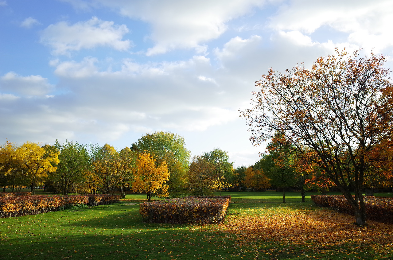 사진 2015. 10. 23. 오후 11 14 50.jpg