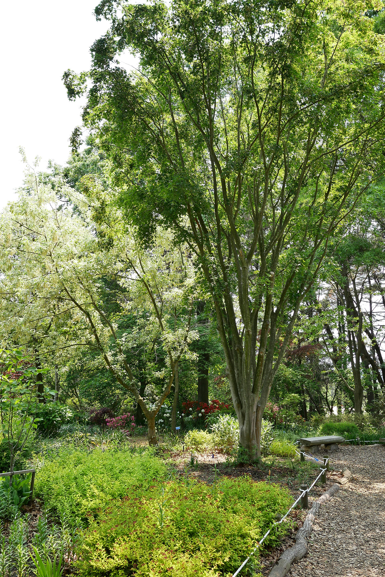 사진 2017. 5. 28. 오후 1 17 30.jpg