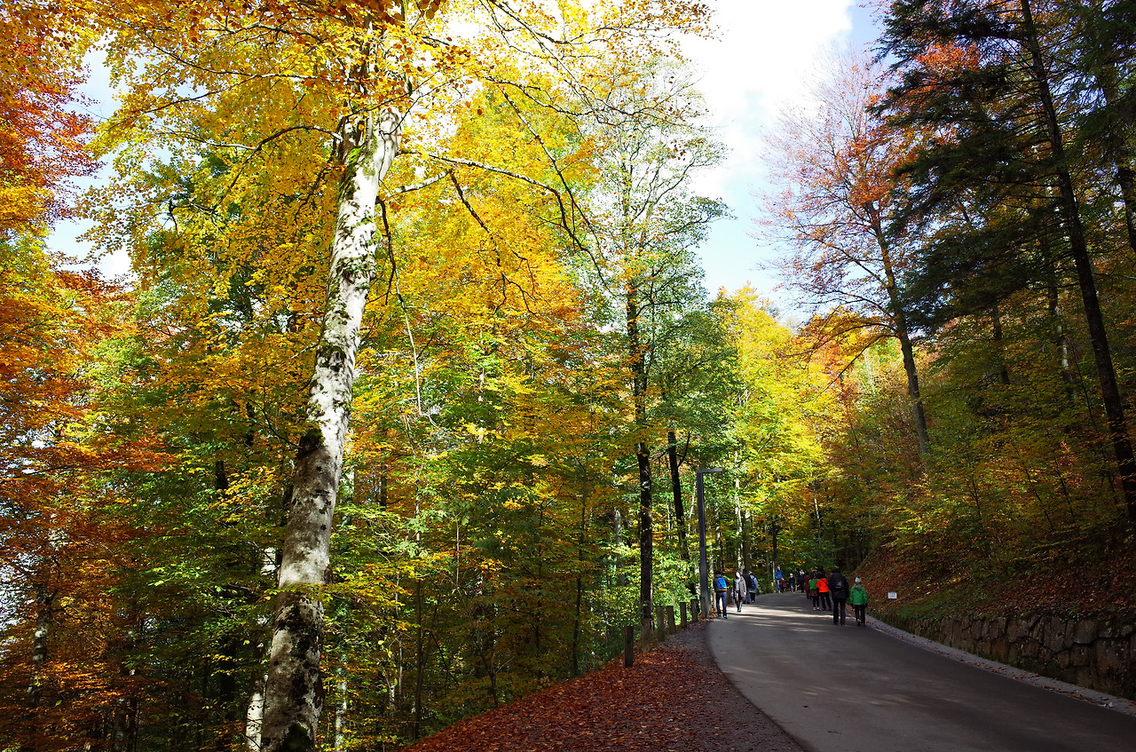 사진 2015. 10. 20. 오후 8 00 27.jpg