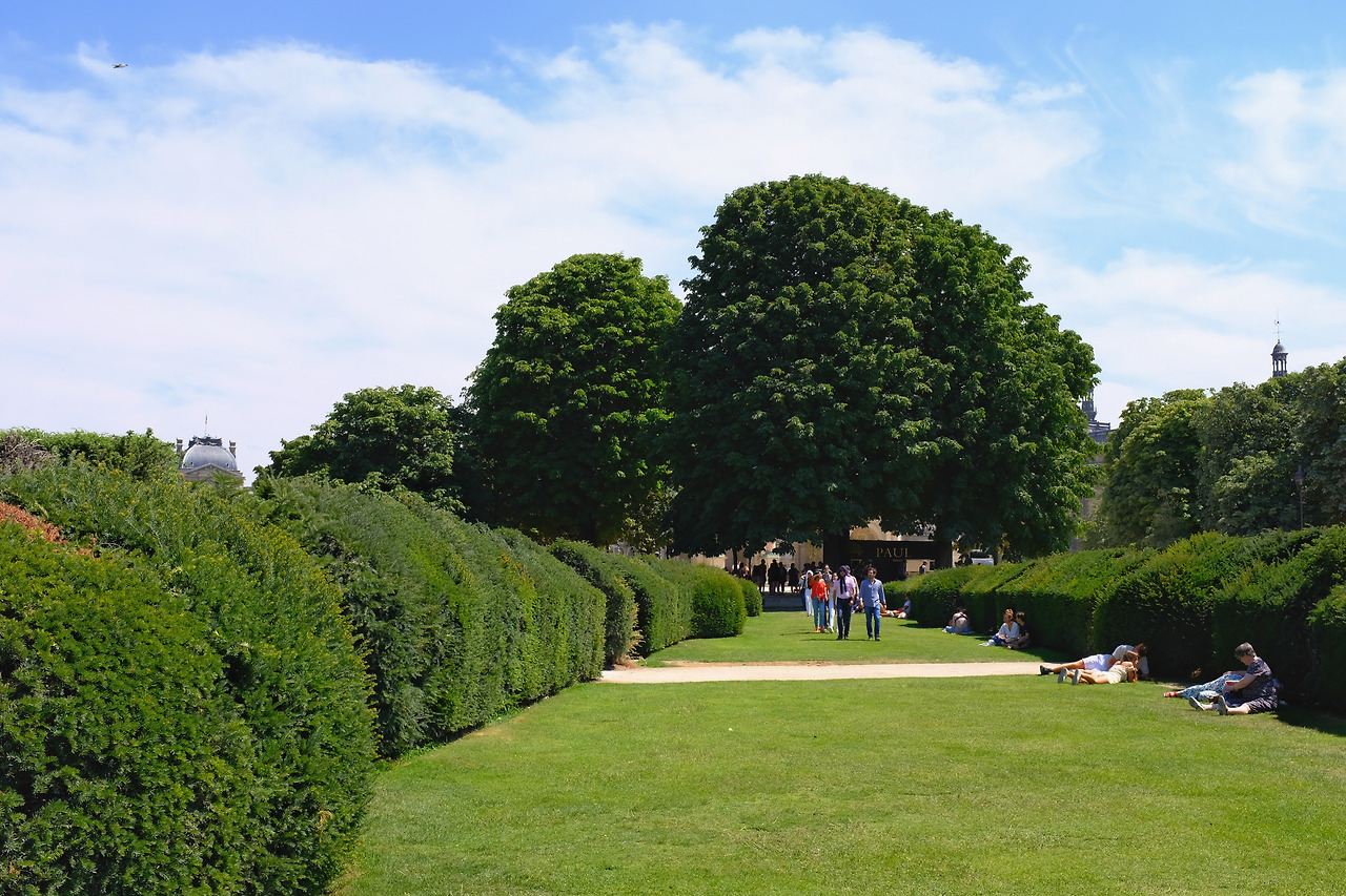 사진 2019. 7. 3. 오후 10 01 09.jpg