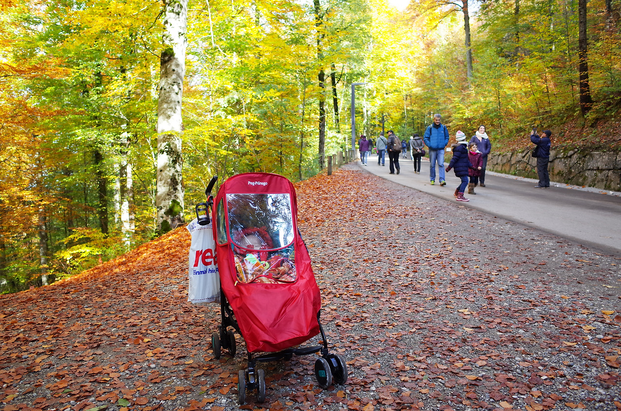 사진 2015. 10. 20. 오후 8 01 14.jpg