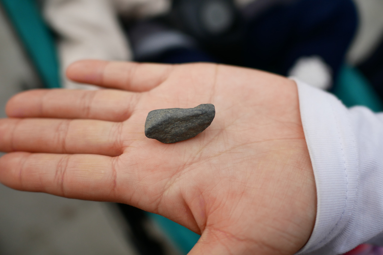 사진 2017. 3. 20. 오후 4 14 15.jpg