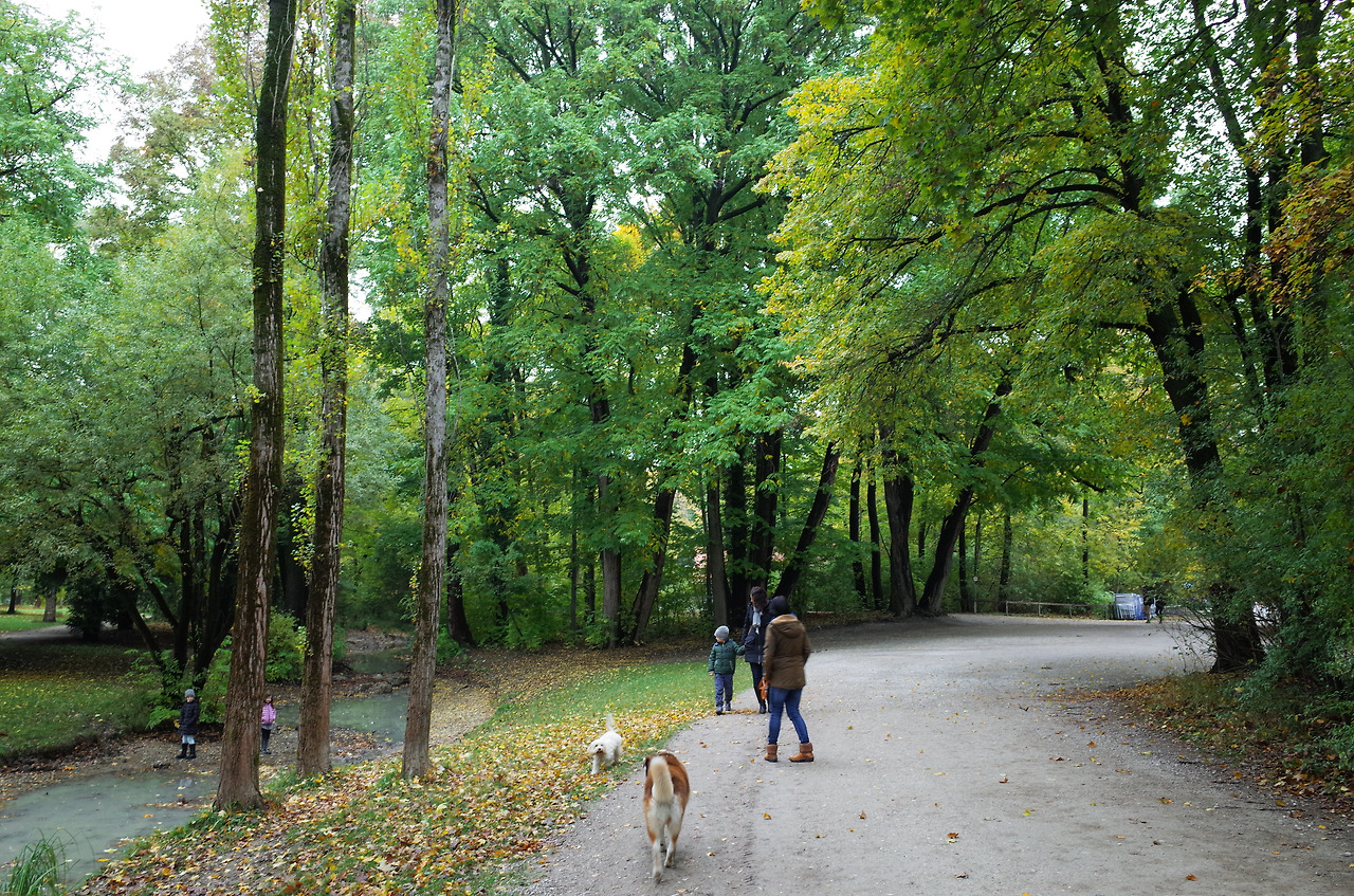 사진 2015. 10. 19. 오후 11 31 31.jpg