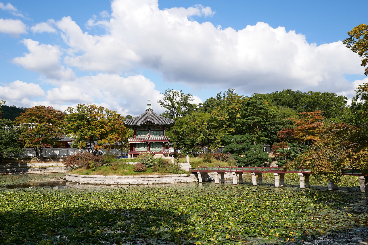 사진 2017. 10. 7. 오후 2 08 06.jpg