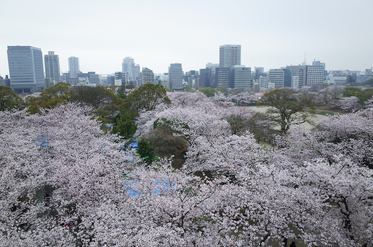 사진 2016. 4. 1. 오후 5 32 39.jpg