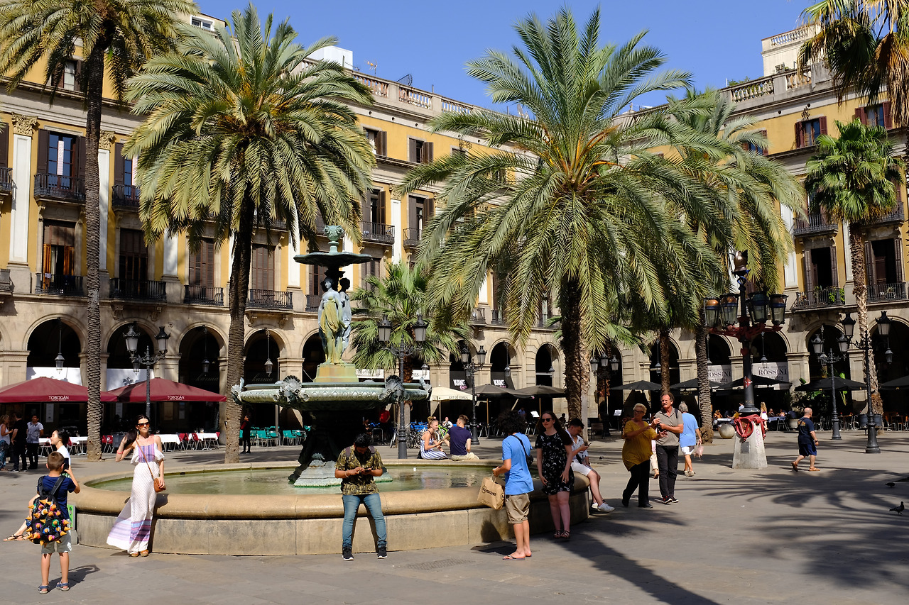 사진 2019. 6. 27. 오전 12 07 49.jpg