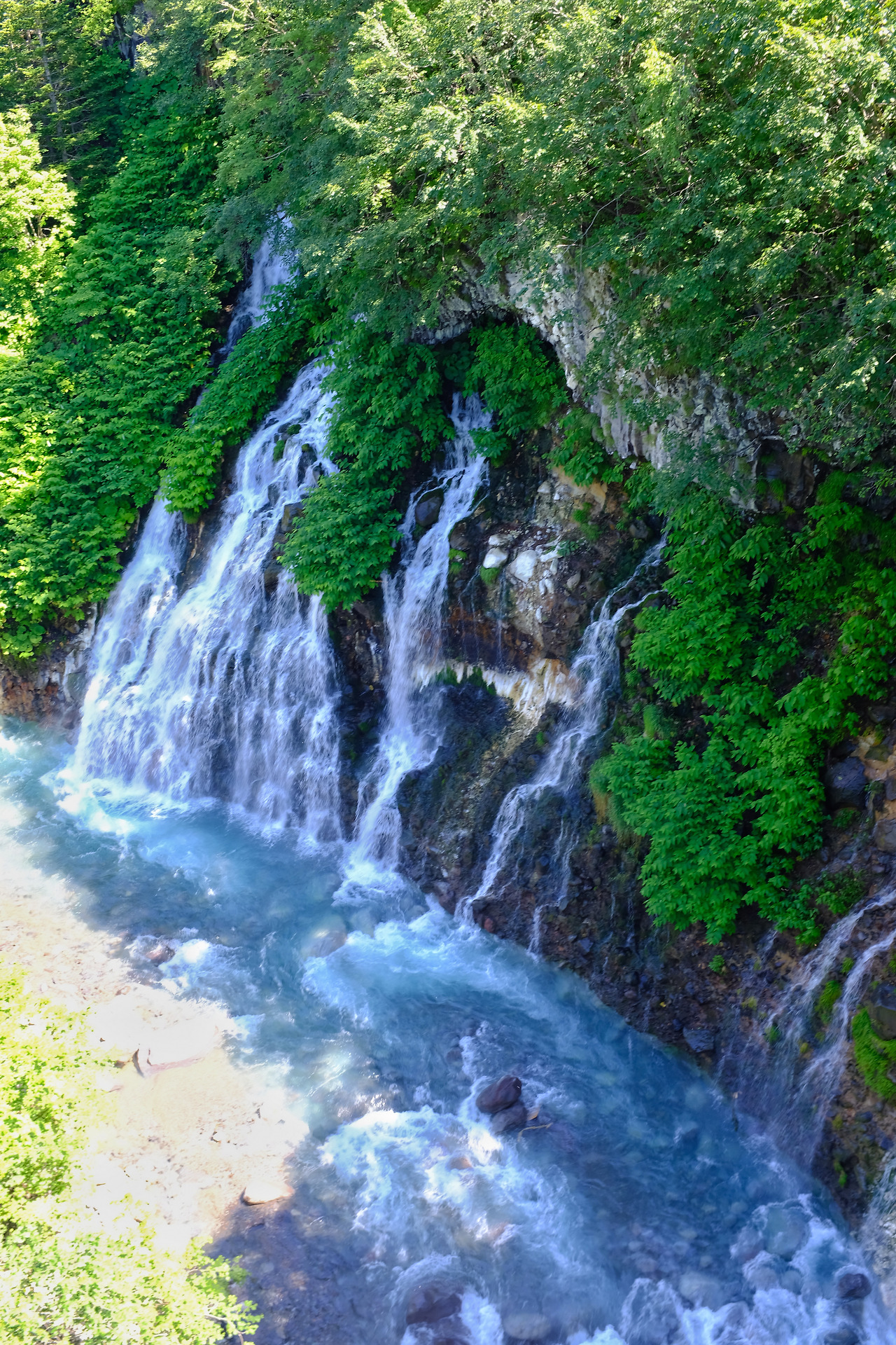 사진 2018. 7. 8. 오후 1 58 52.jpg