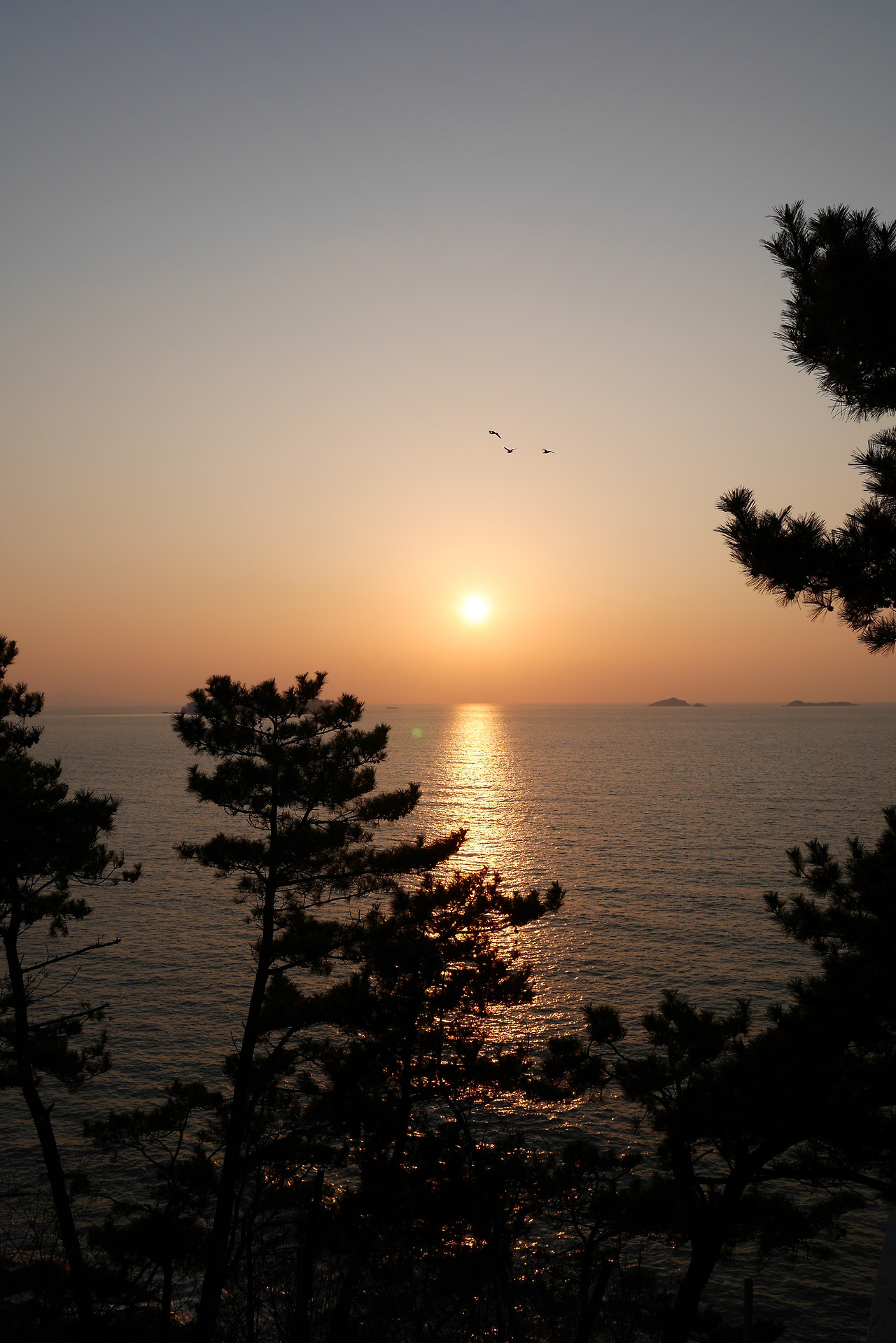 사진 2016. 3. 26. 오후 6 25 16.jpg