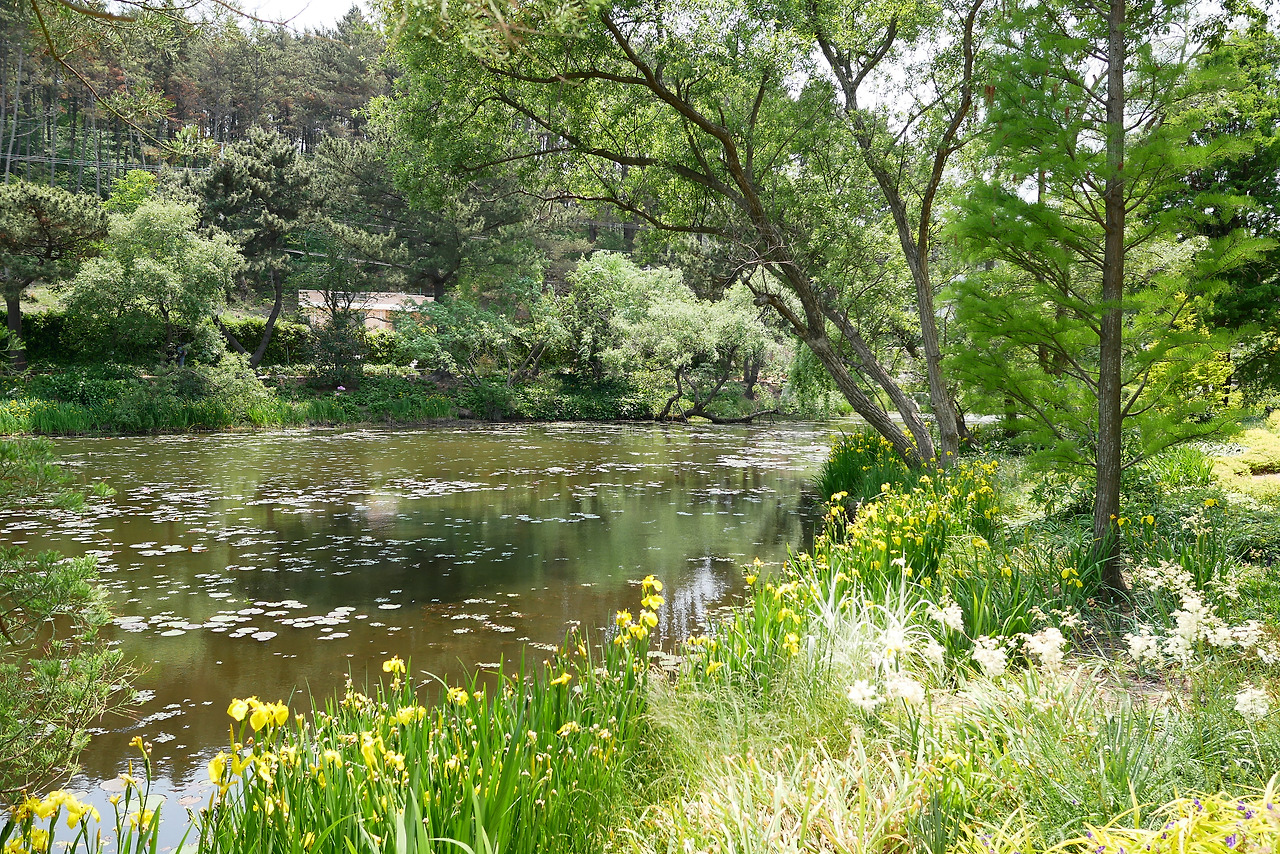 사진 2017. 5. 28. 오후 12 39 18.jpg