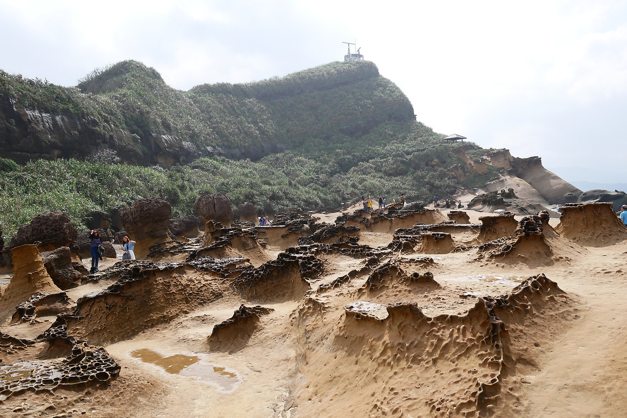 사진 2017. 3. 20. 오후 3 20 48.jpg