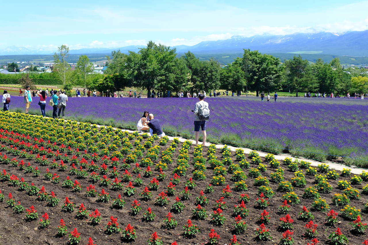 사진 2018. 7. 8. 오전 11 11 51.jpg