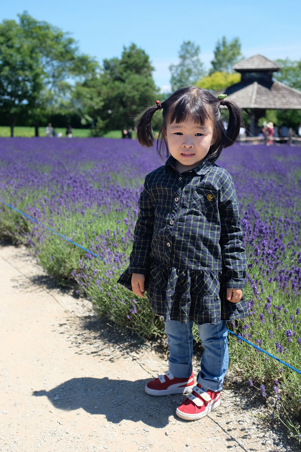 사진 2018. 7. 8. 오전 10 52 55.jpg