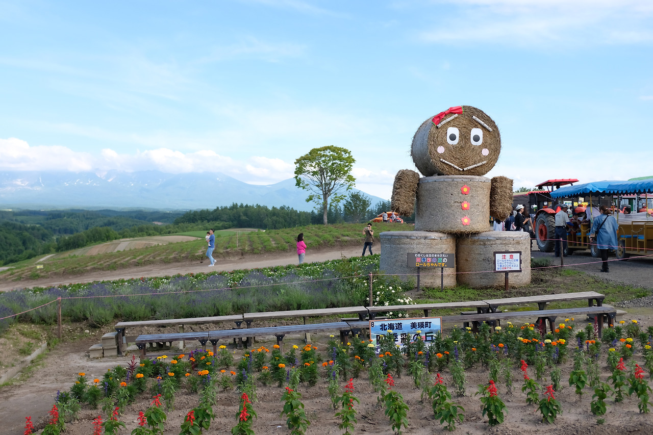 사진 2018. 7. 8. 오후 4 07 42.jpg