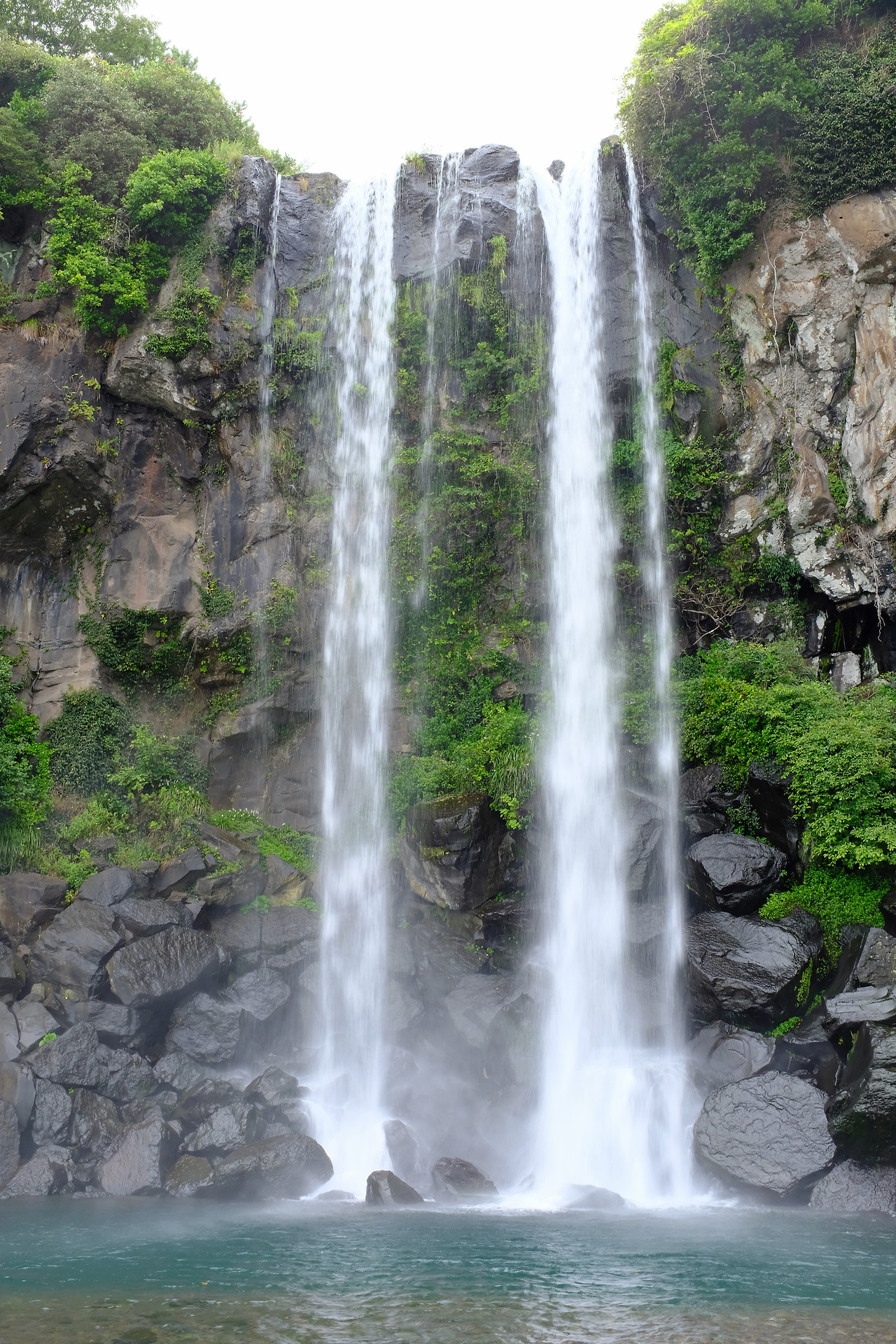 사진 2018. 8. 19. 오후 3 02 59.jpg