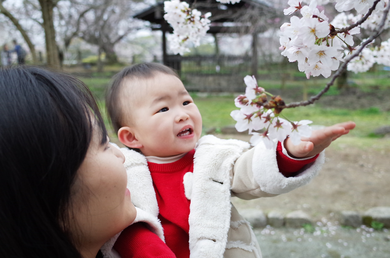 사진 2016. 4. 1. 오후 5 45 00.jpg