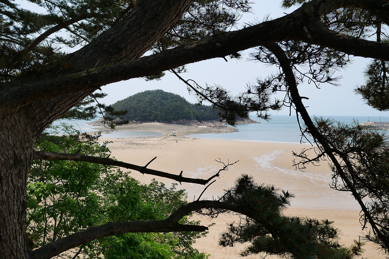 사진 2017. 5. 28. 오후 1 24 29.jpg