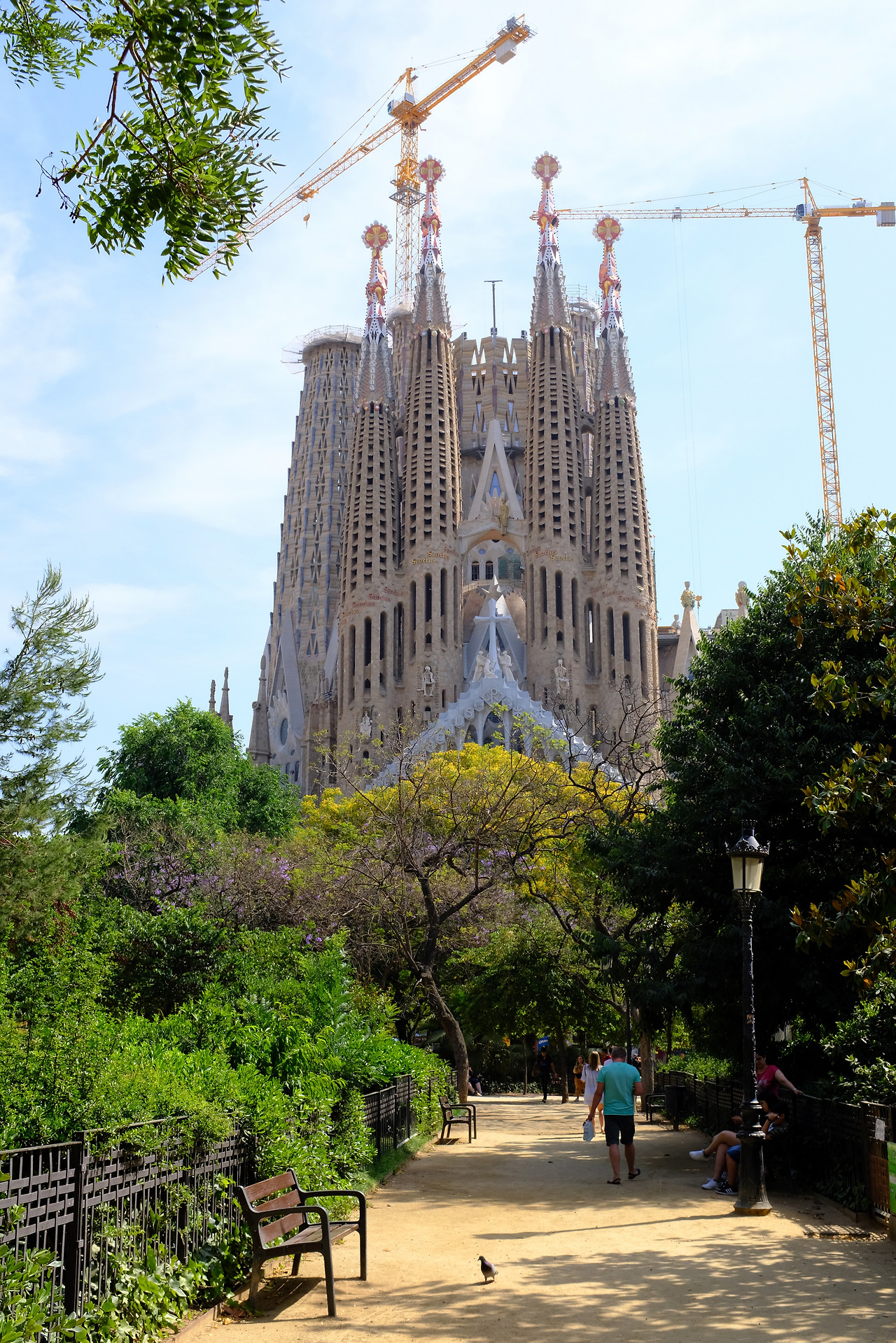 사진 2019. 6. 25. 오후 6 01 21.jpg