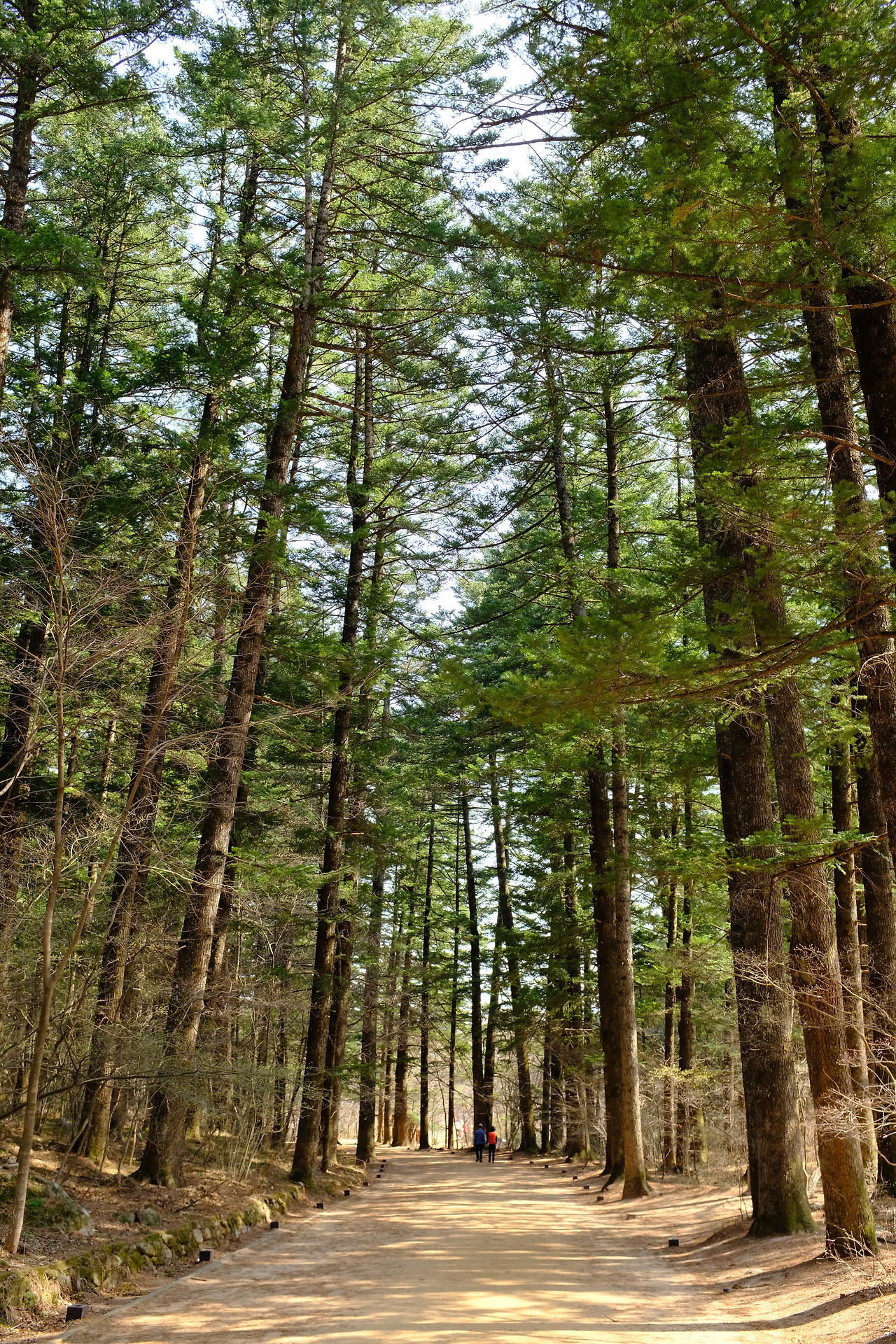 사진 2019. 4. 20. 오후 2 56 31.jpg