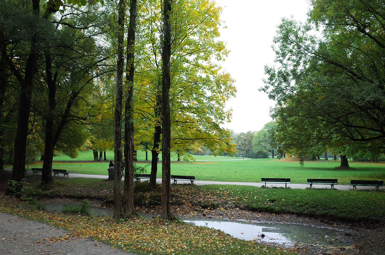 사진 2015. 10. 19. 오후 11 29 23.jpg