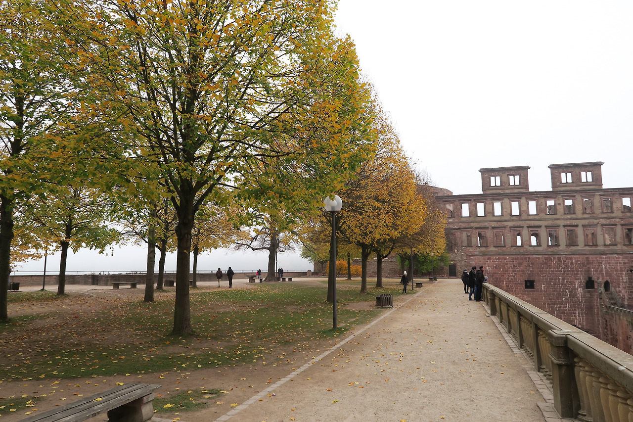 사진 2015. 11. 3. 오후 10 24 47.jpg