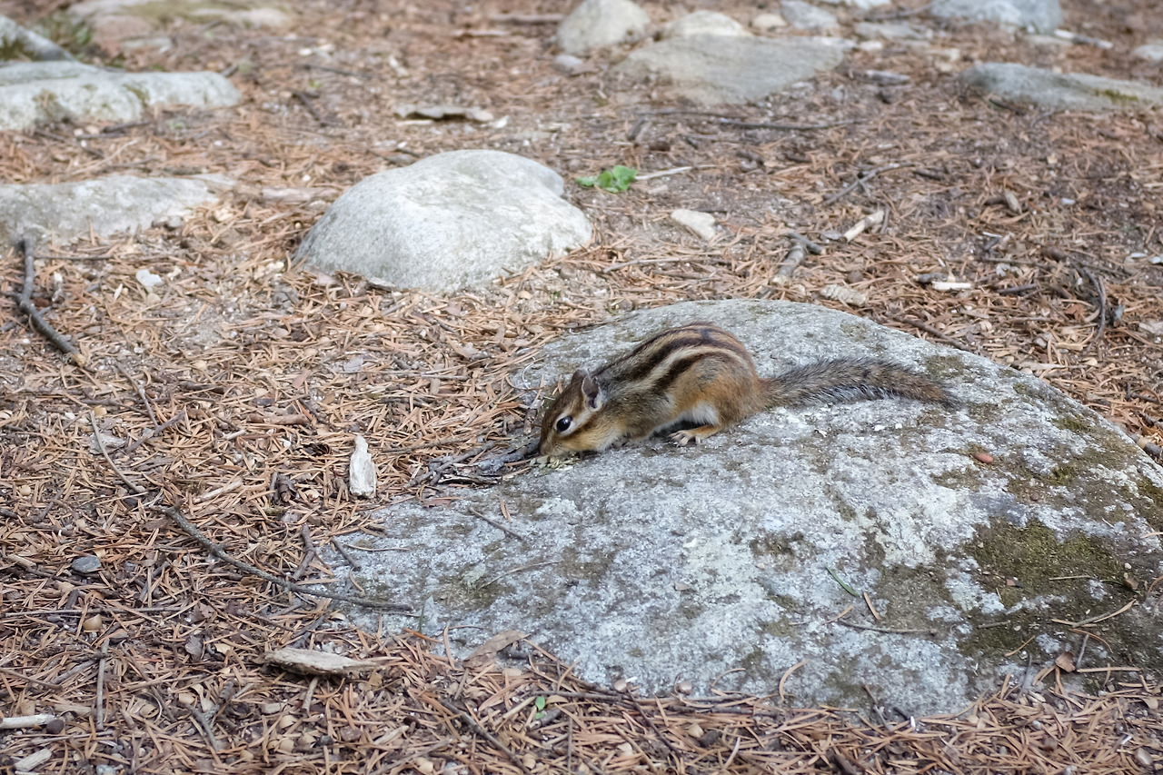 사진 2019. 4. 20. 오후 3 17 14.jpg