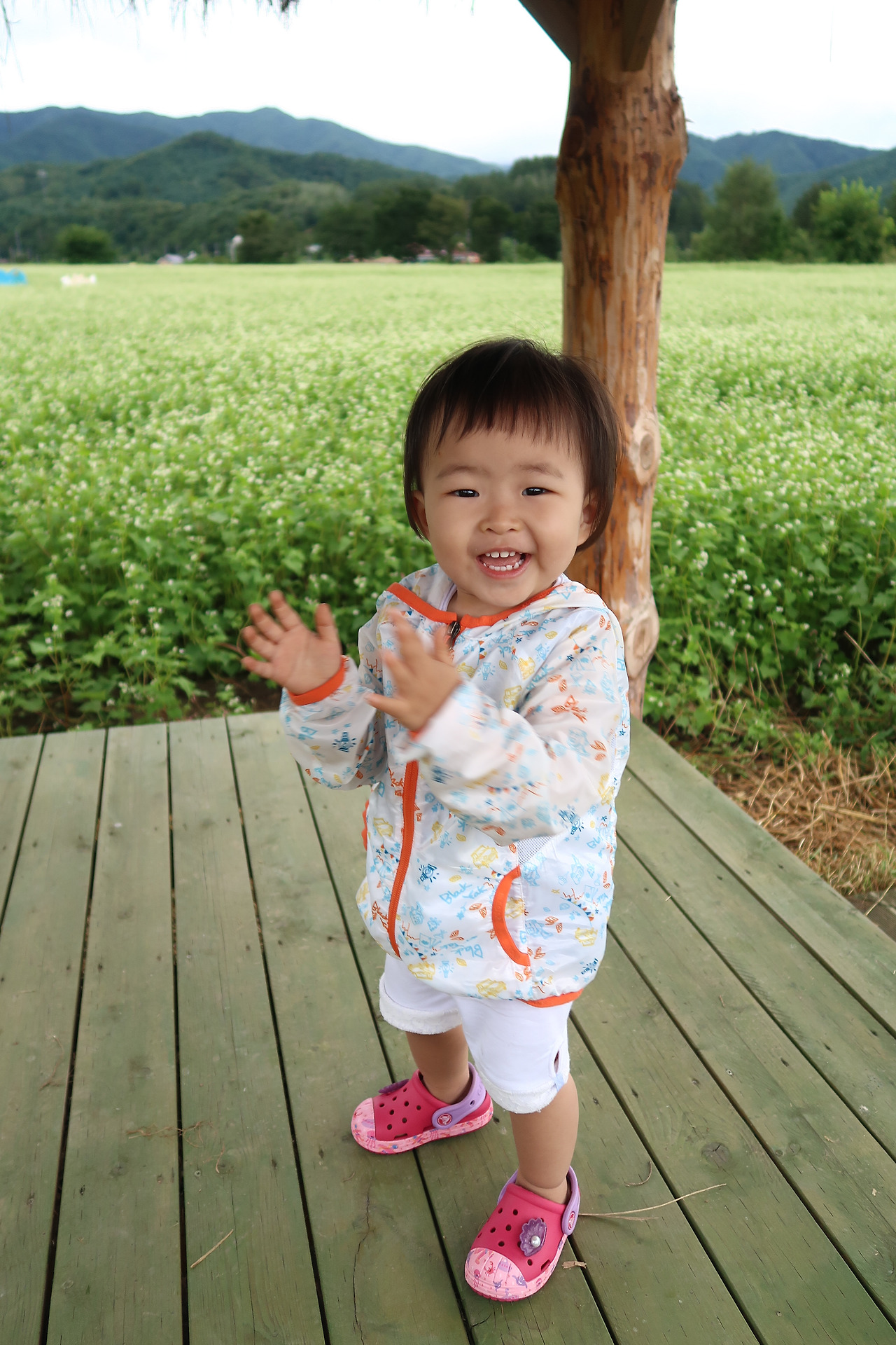 사진 2016. 8. 28. 오후 3 28 17.jpg