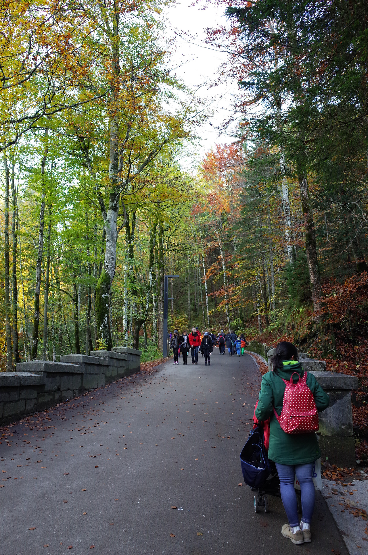 사진 2015. 10. 20. 오후 7 55 54.jpg