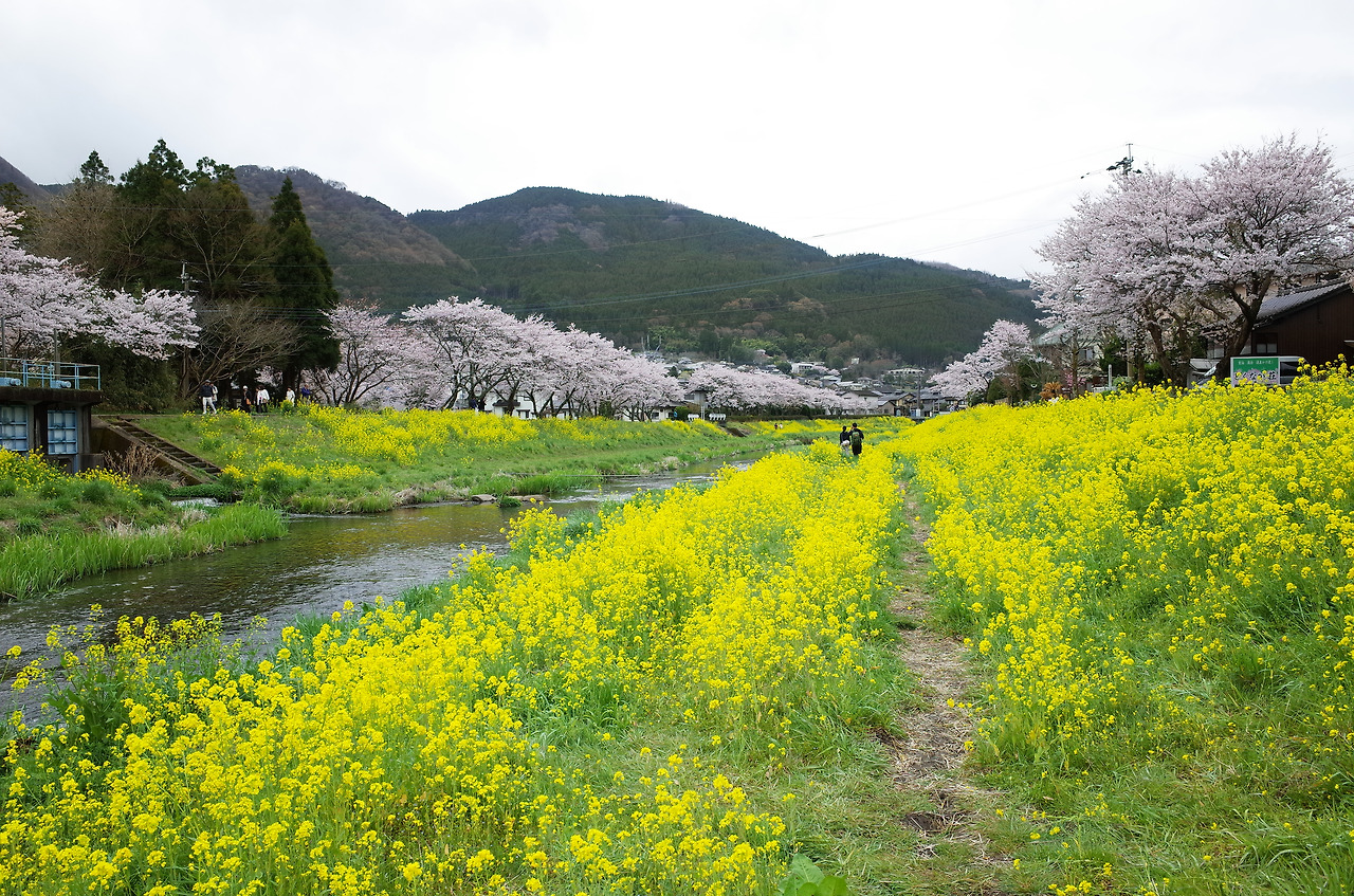 사진 2016. 4. 3. 오후 12 34 42.jpg