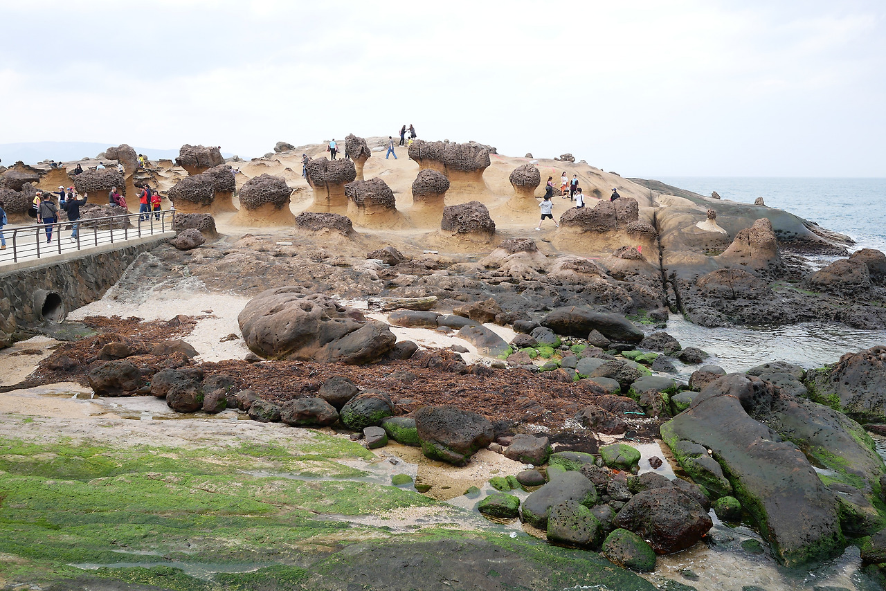 사진 2017. 3. 20. 오후 3 16 12.jpg