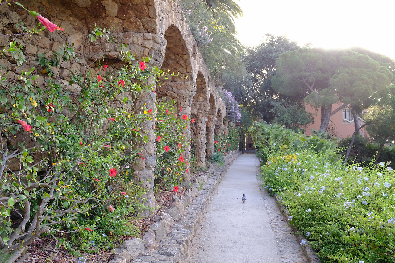 사진 2019. 6. 26. 오후 2 41 05.jpg