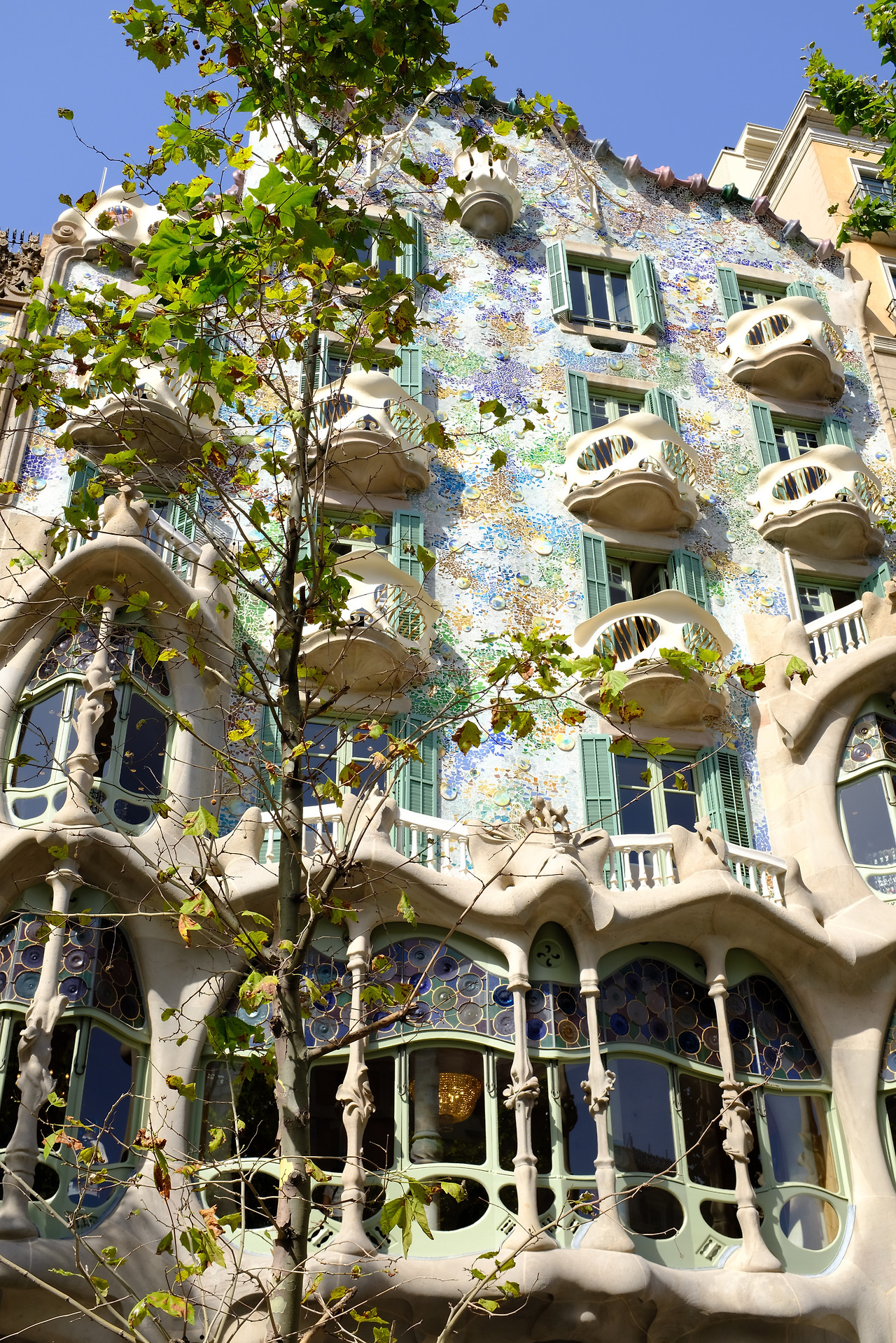 사진 2019. 6. 26. 오후 5 18 59.jpg