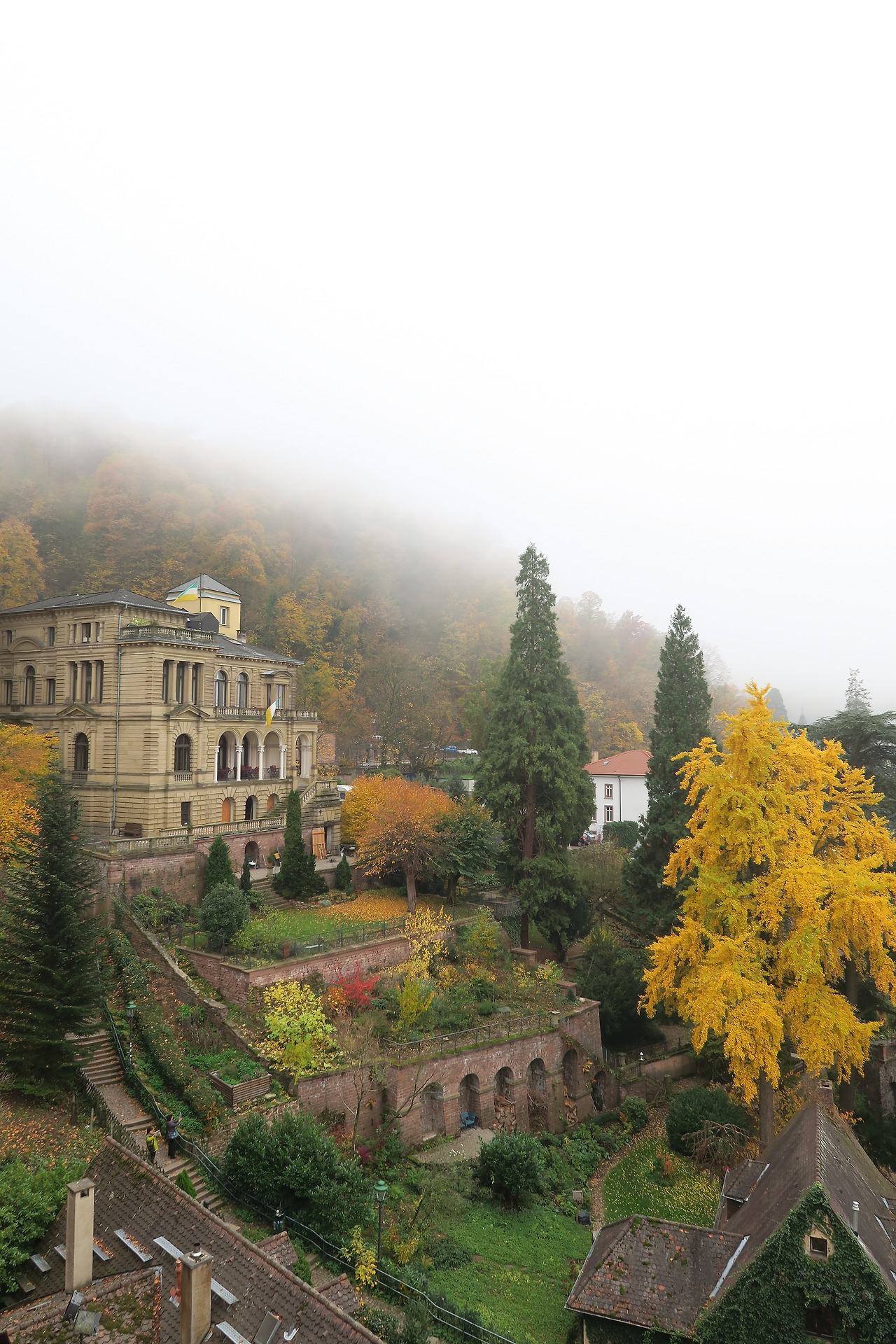 사진 2015. 11. 3. 오후 10 15 23.jpg