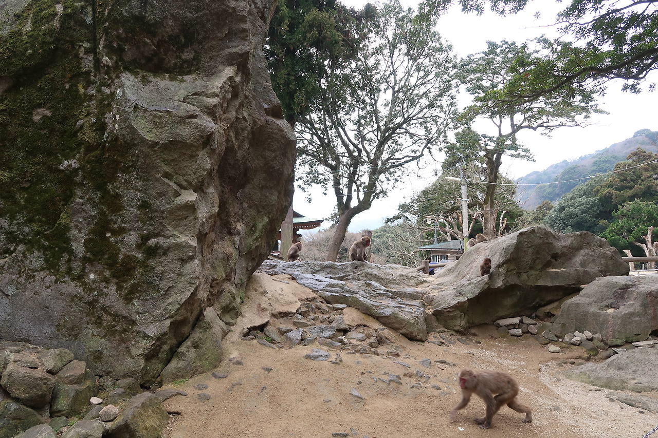 사진 2018. 2. 15. 오전 10 49 05.jpg