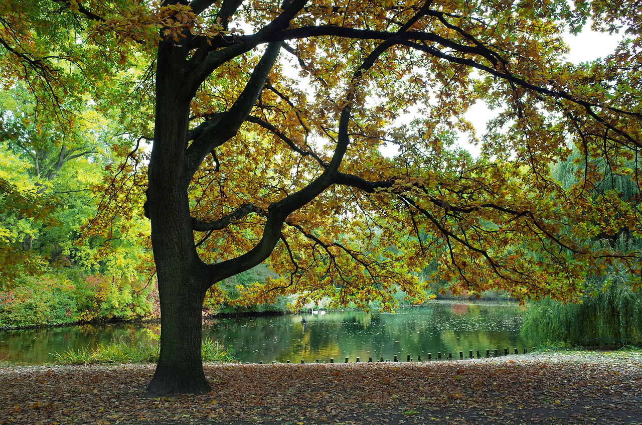 사진 2015. 10. 23. 오후 9 31 13.jpg