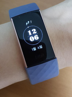 fitbit1.jpg
