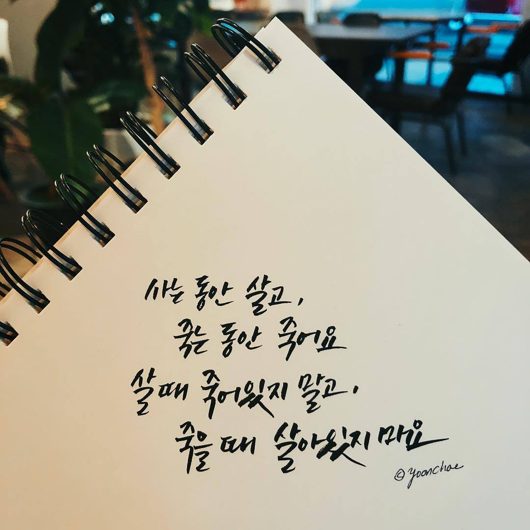 chae_calligraphy_37253262_282941379128247_6497343400591753216_n.jpg