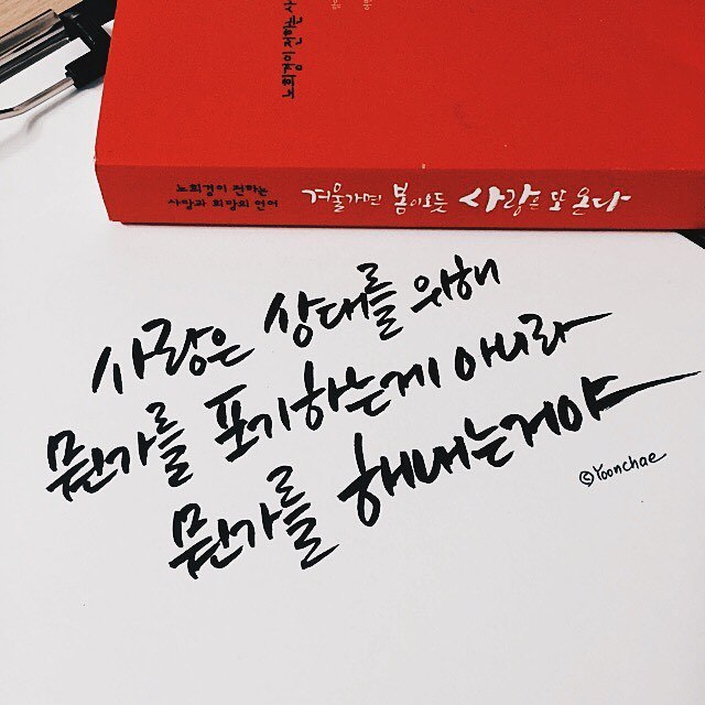 chae_calligraphy_13549502_304034323270987_163895030_n.jpg