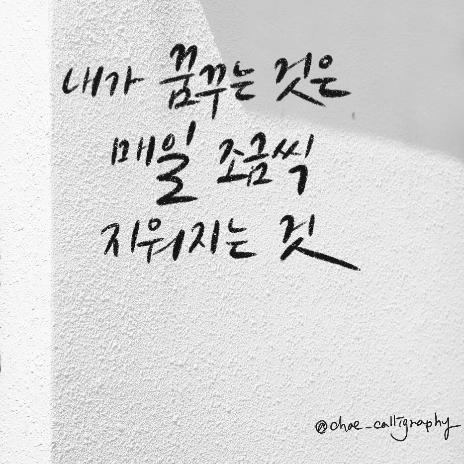 chae_calligraphy_70199662_1630499683748027_6089953661469351272_n.jpg