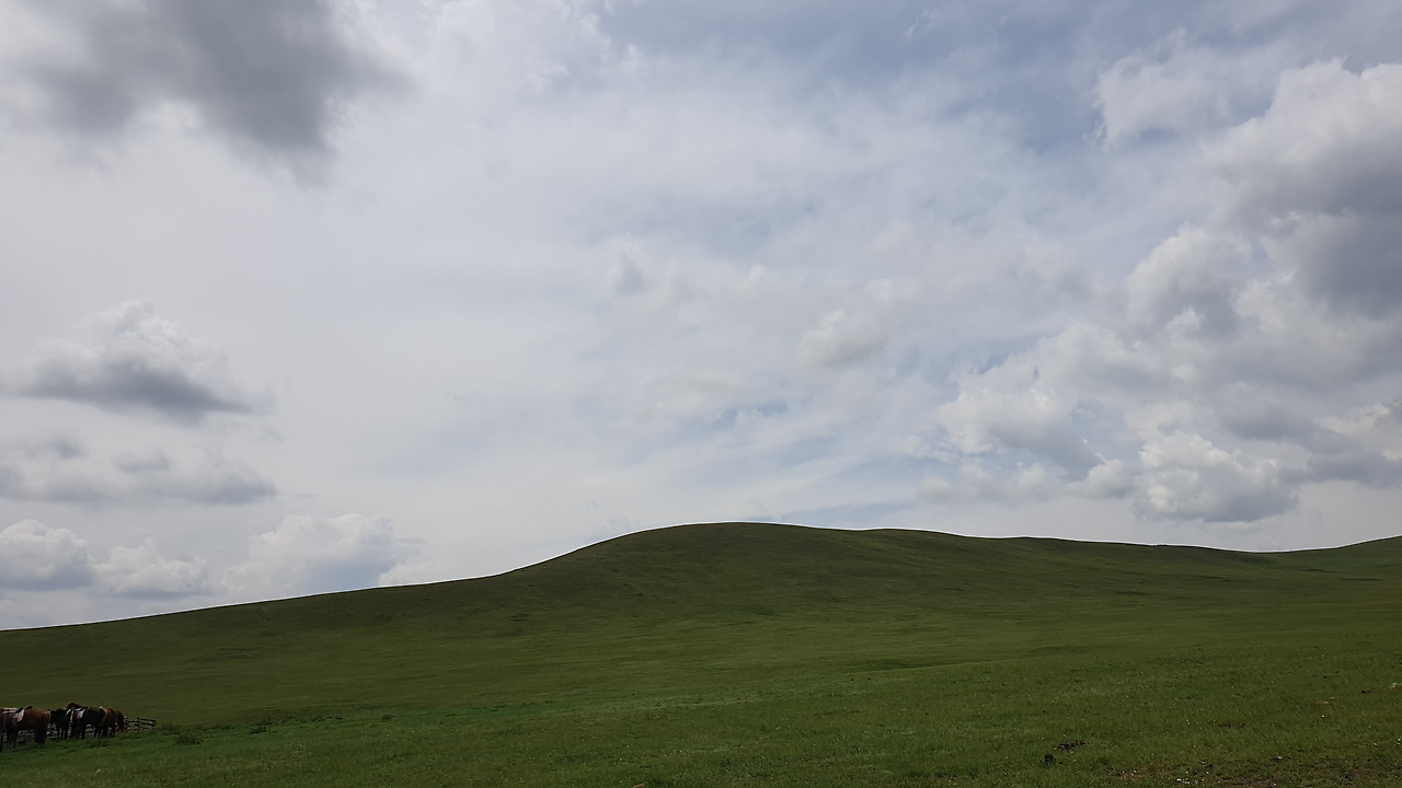 20230719_130949 (1).jpg