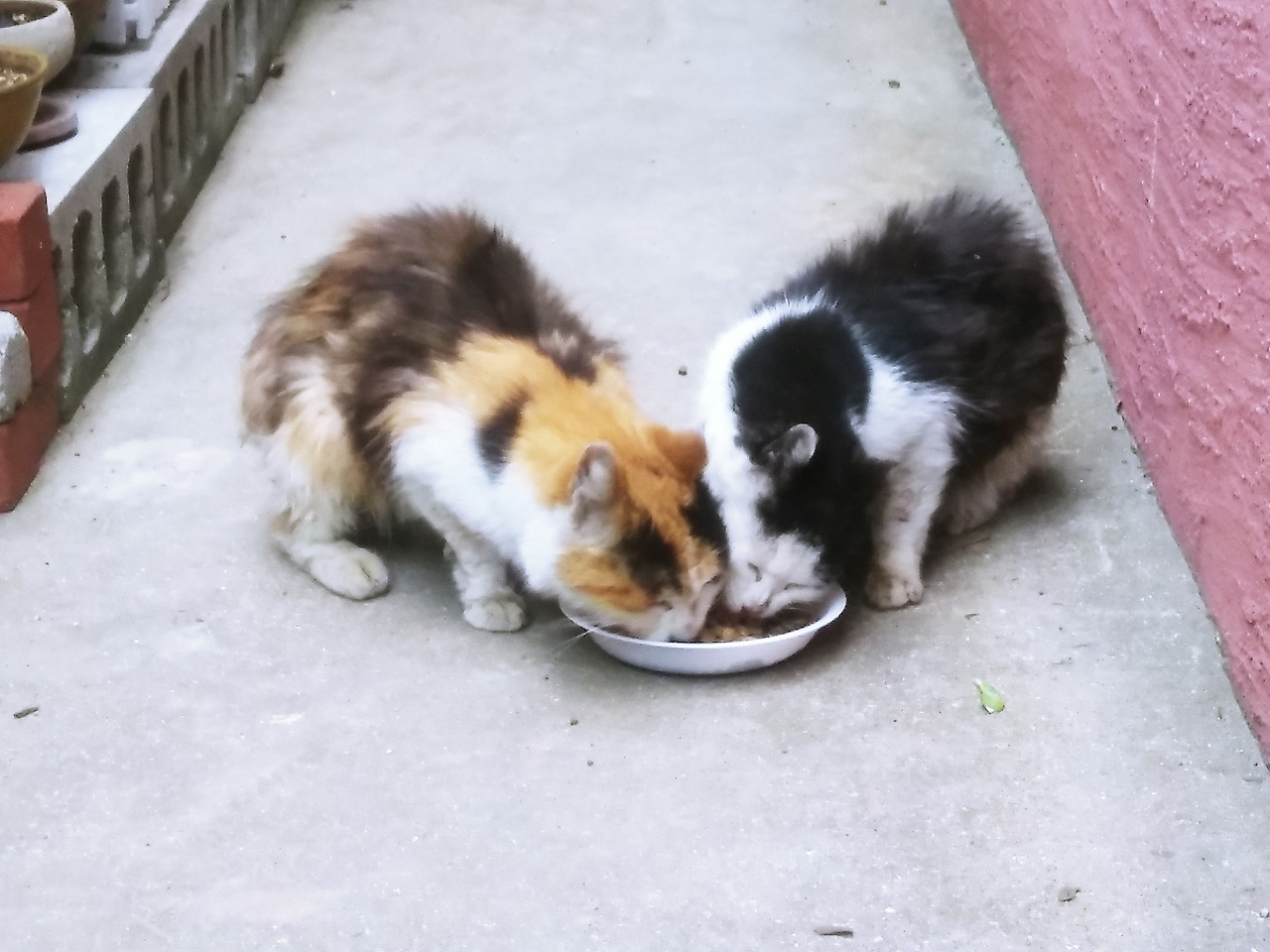 사본 -20200507_182208.jpg