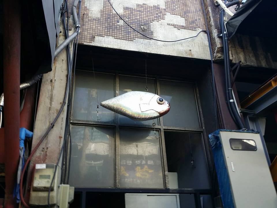 빛 바랜 벽과, 먼지낀 유리창, 매달린 물고기.jpg