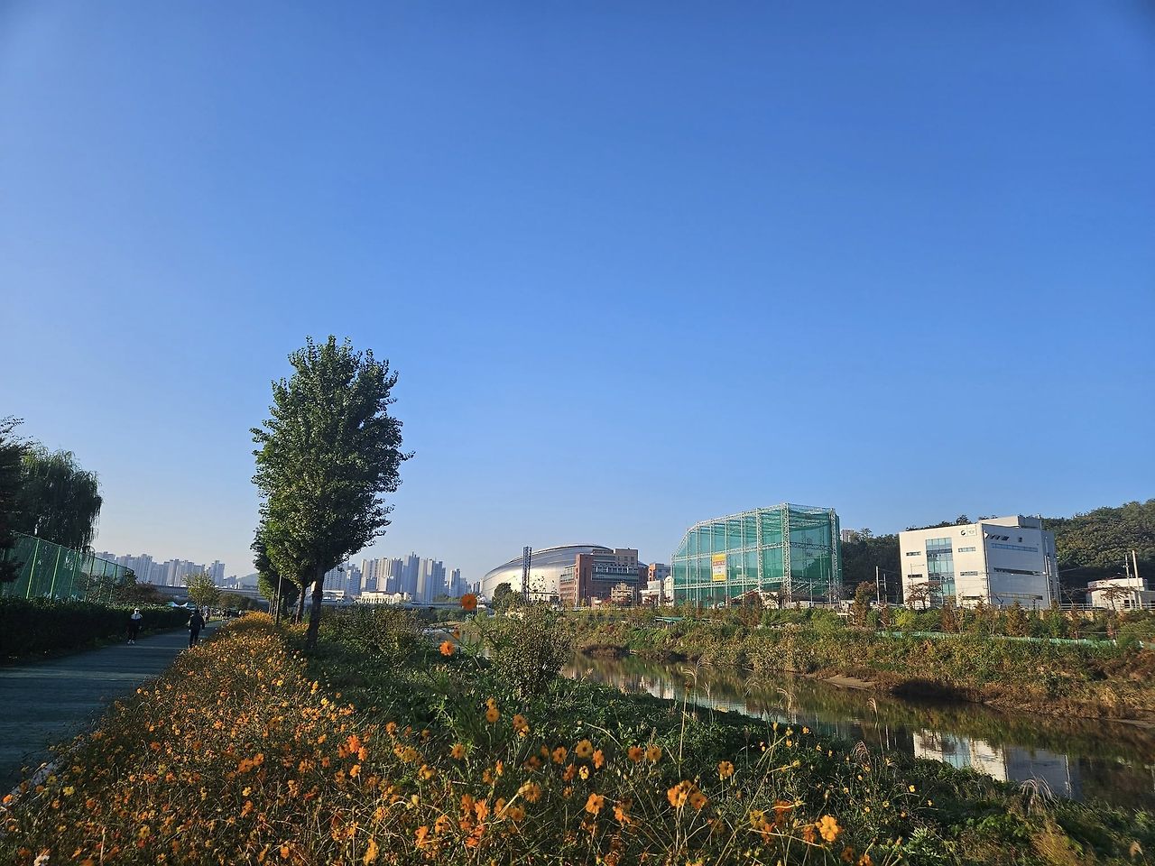 574061669_32257092913905680_356483346414441662_n - 복사본.jpg