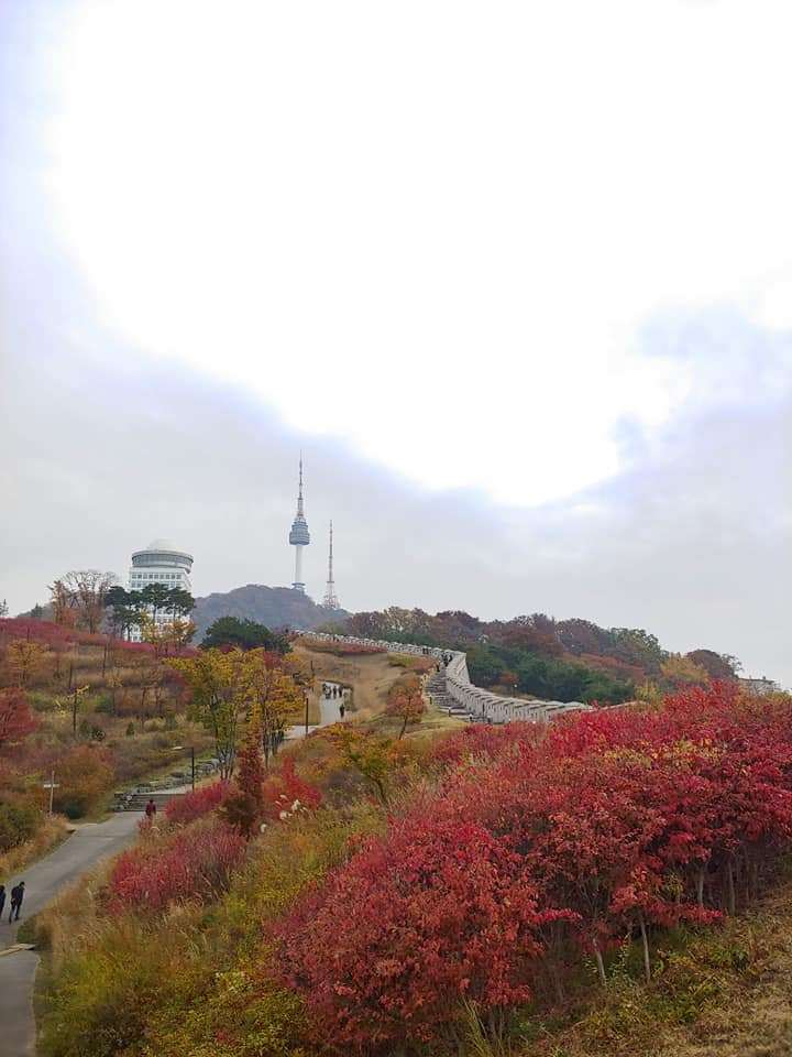 남산.jpg