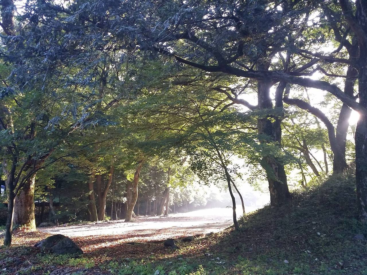 초가을 아침.jpg