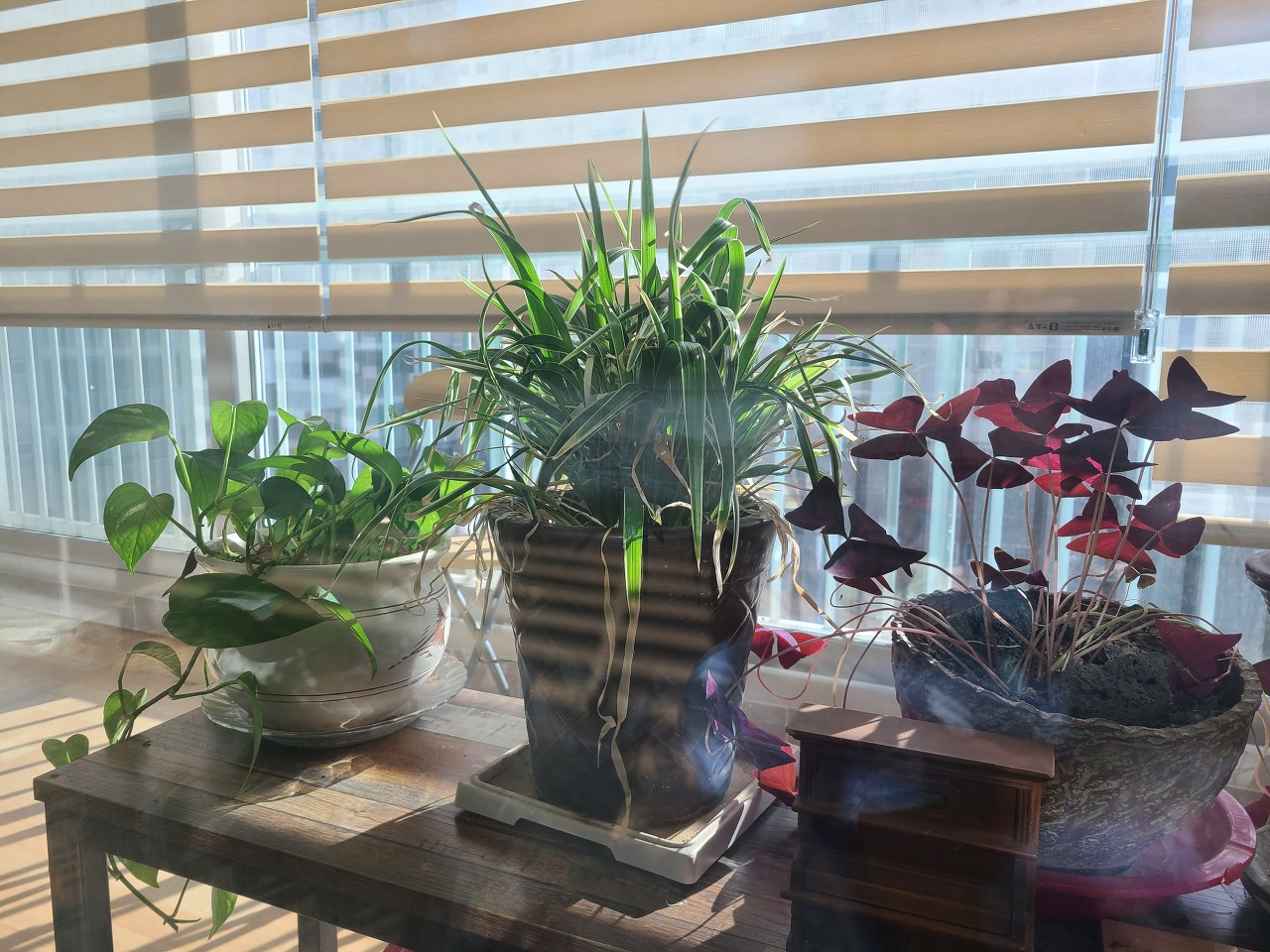 다운로드 (1).jpg