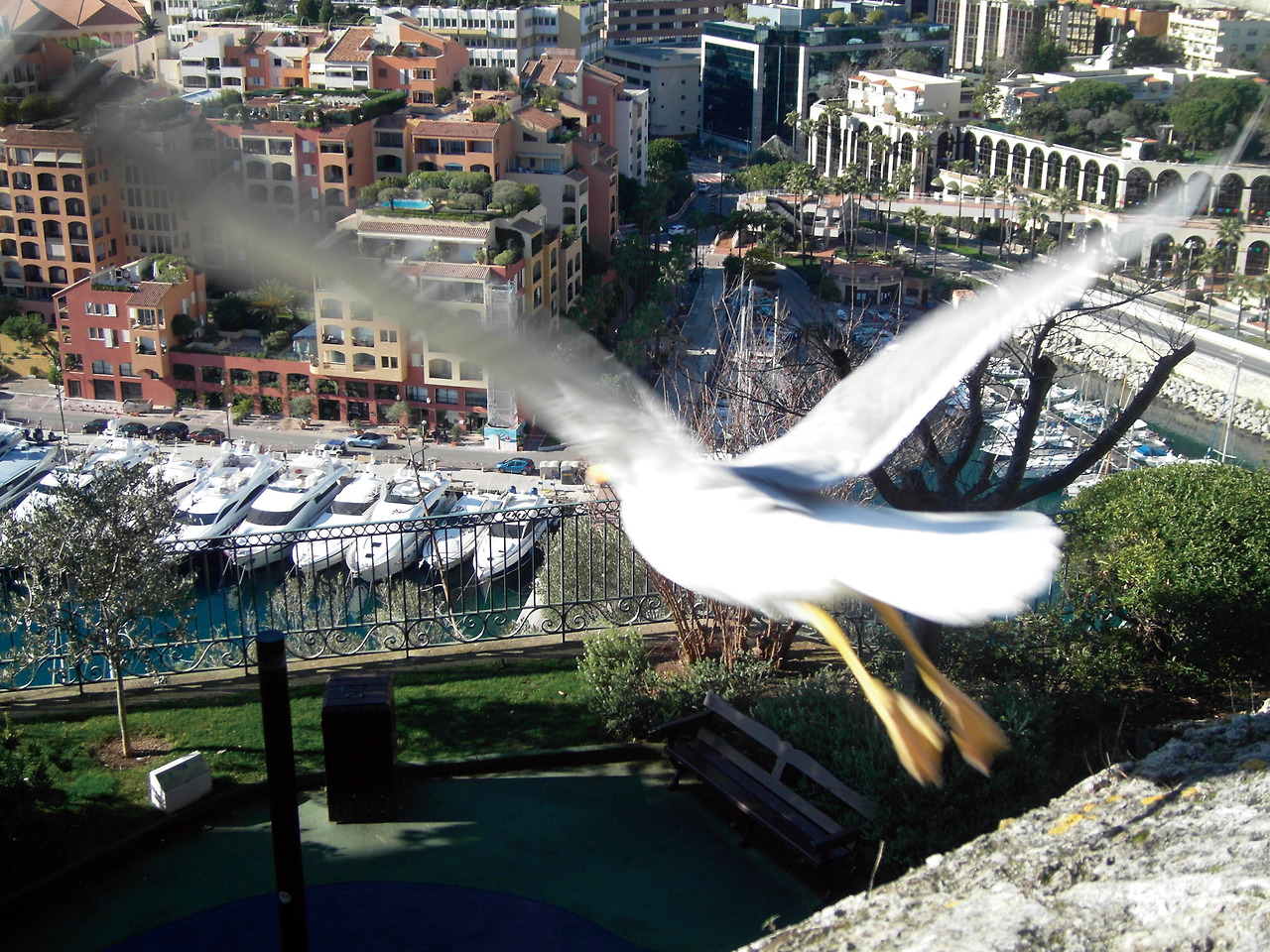 오성은 사진들 추가 (13).jpg