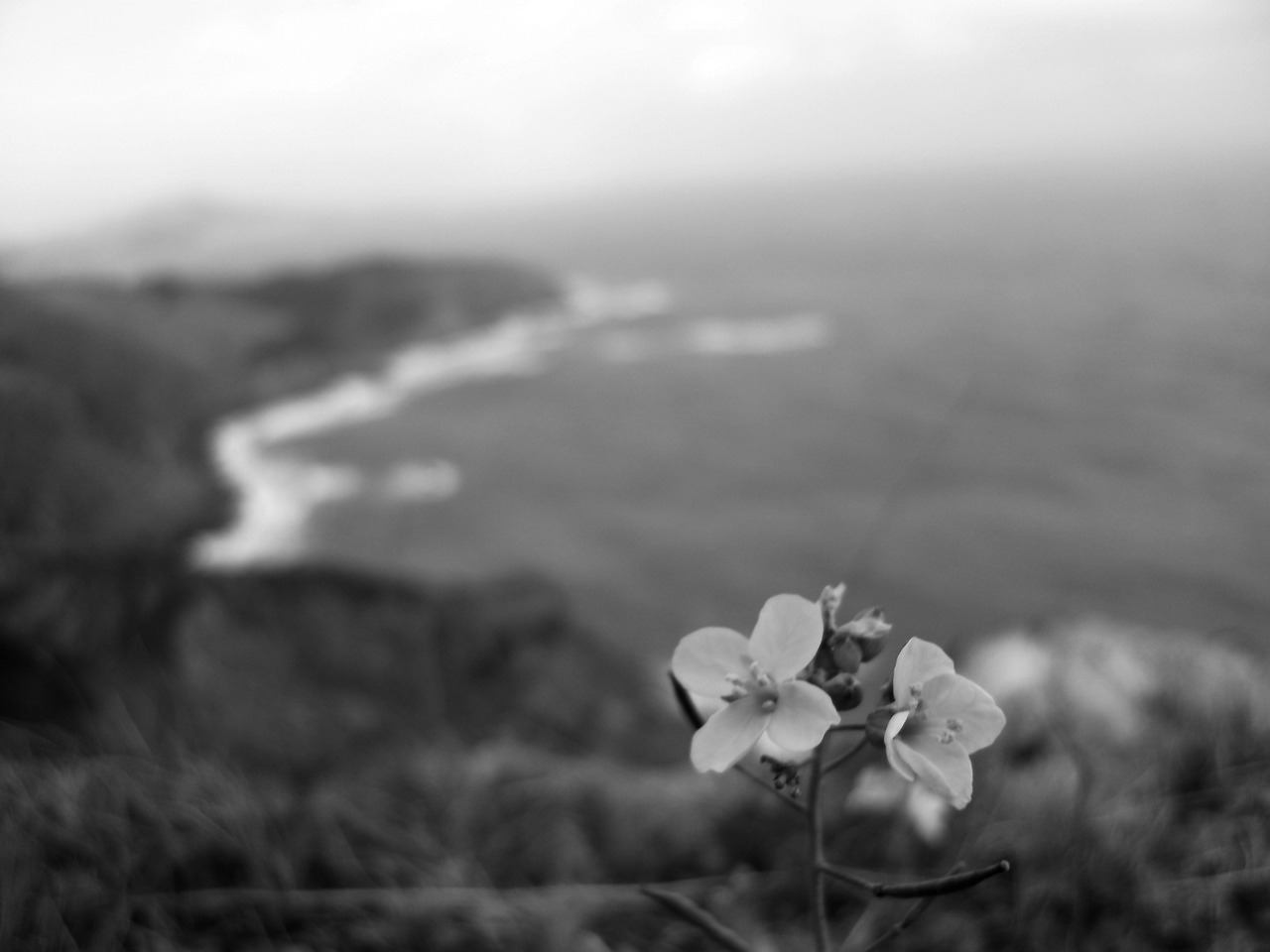 오성은 사진들 추가 (18).jpg