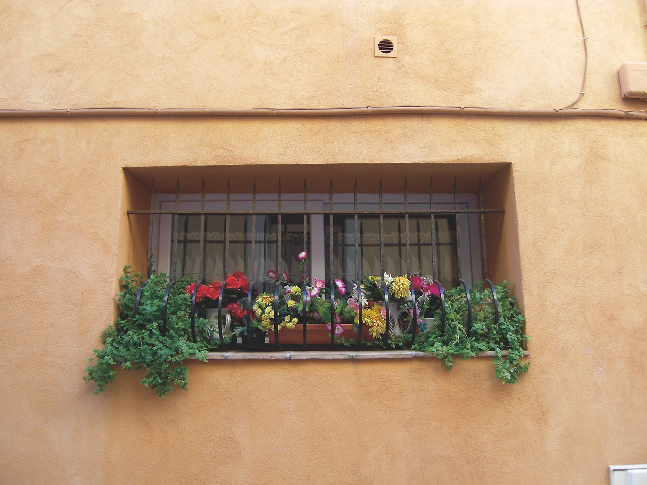 오성은 사진들 추가 (17).jpg