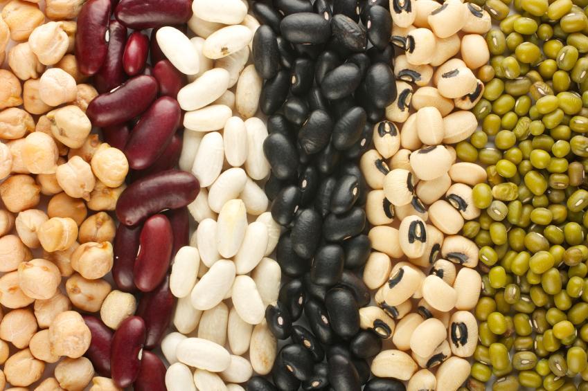 Variety_of_Legumes.jpg